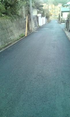 Local land photo. Front road (from the west)