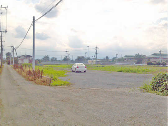 Local land photo. appearance