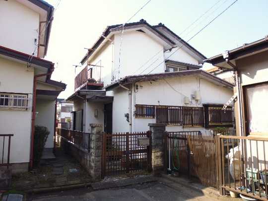 Local land photo. Appearance (1)