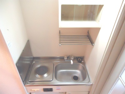 Kitchen. Pat housed in an electric stove ☆