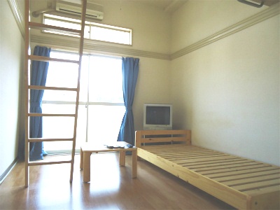 Living and room. Air conditioning, furniture, It is with consumer electronics