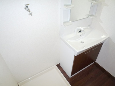 Washroom. Shampoo dresser