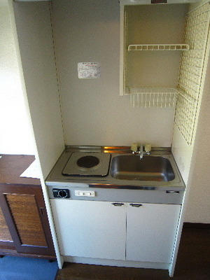 Kitchen. Mini-kitchen with electric stove