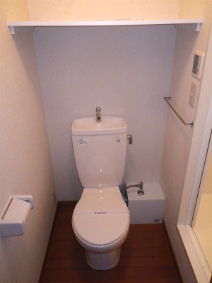 Toilet. The point is high shelf at the back of the toilet!