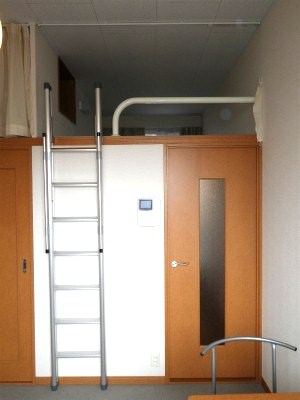 Living and room. Up the ladder to the loft