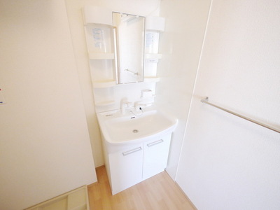 Washroom. Shampoo dresser