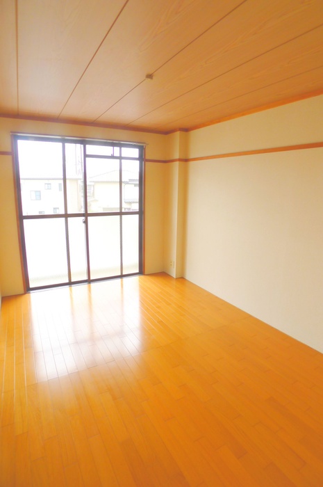 Living and room. Beautiful flooring