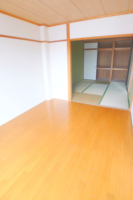 Living and room. Beautiful flooring