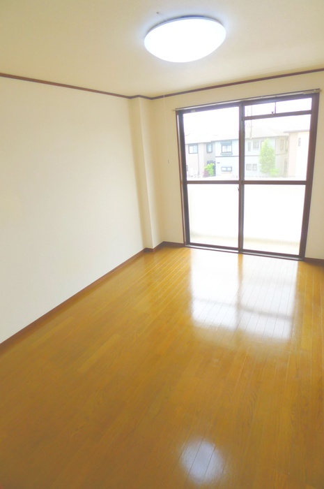 Living and room. Beautiful flooring