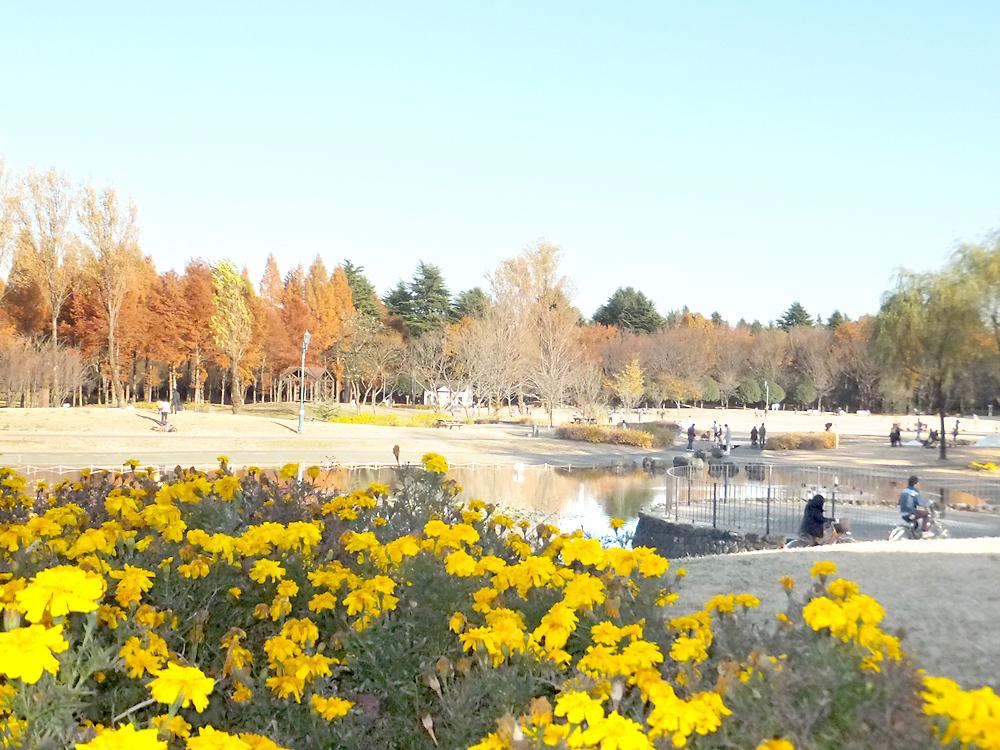 park. 140m until the saturation of forest Iruma park