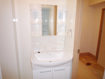 Washroom. Shampoo dresser