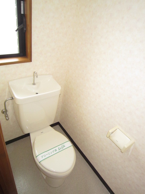 Toilet. Slowly space