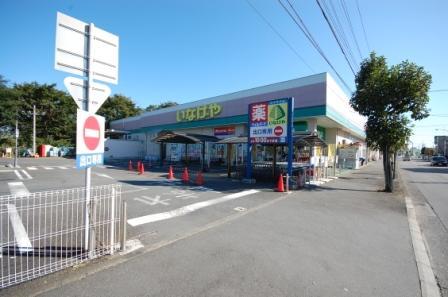 Other. Local neighborhood Inageya