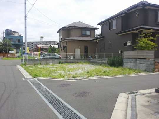 Local land photo. Local Photos (1)