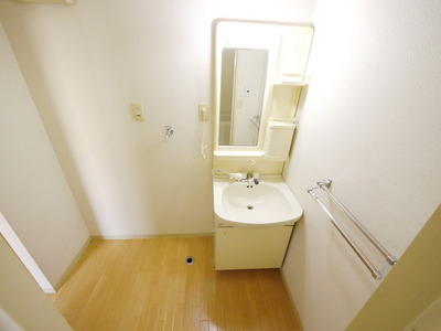 Washroom. Washbasin with shower