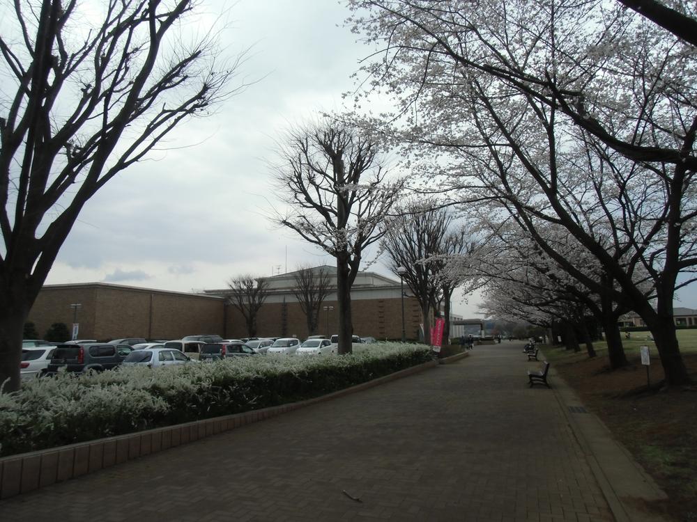 park. Museum parking is also wide.