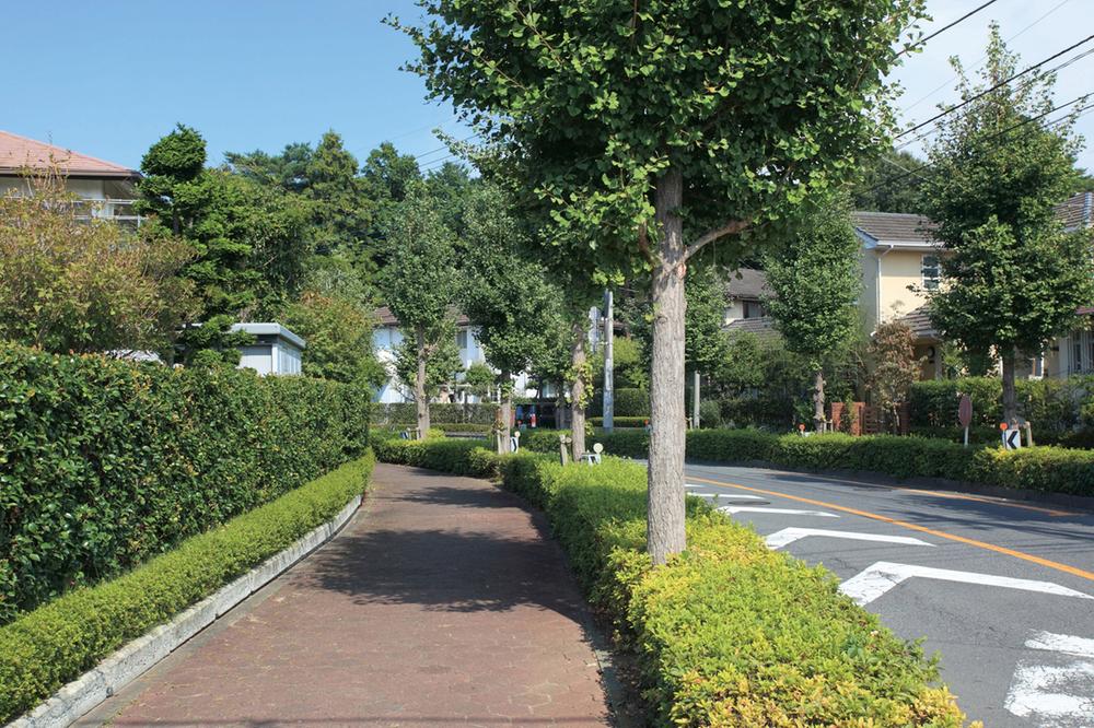 Other. Local peripheral (10 May 2011) Shooting