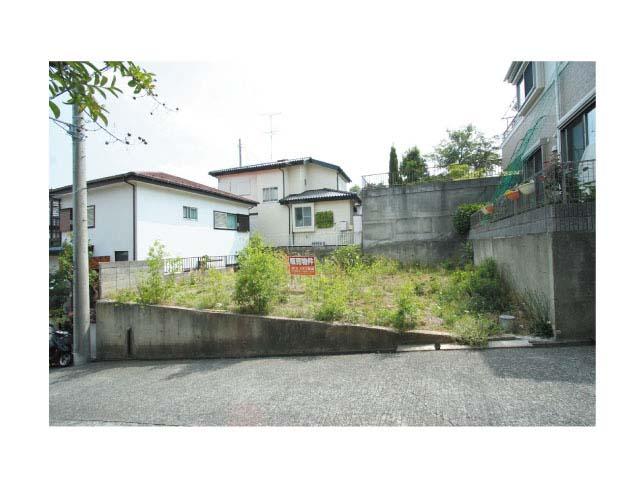 Local land photo. Local (May 2013) Shooting