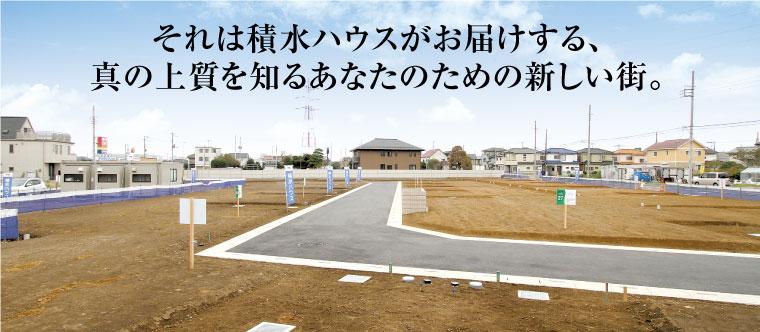 Local land photo. Local (11 May 2012) shooting