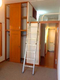 Living and room. This variety can be used loft type of room