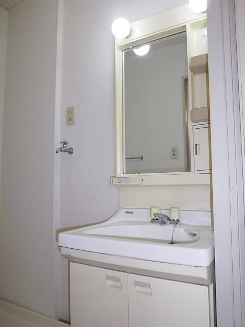 Washroom. Bathroom vanity
