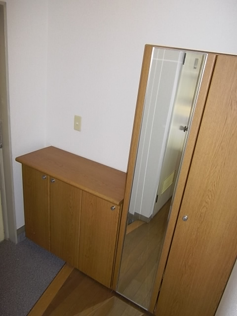 Entrance. With with mirror shoe box