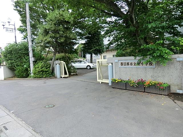 Junior high school. Kasukabe Tatsuhigashi until junior high school 740m