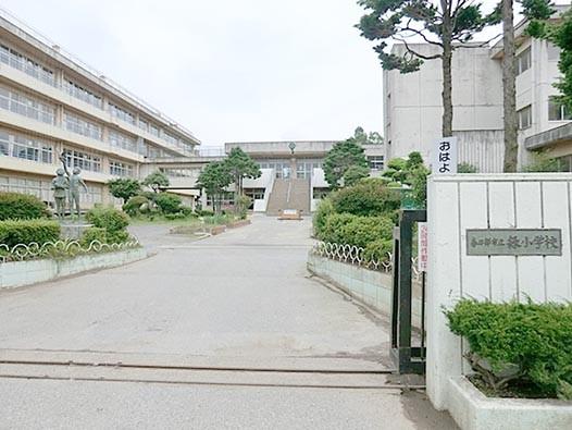 Primary school. 840m until the green elementary school