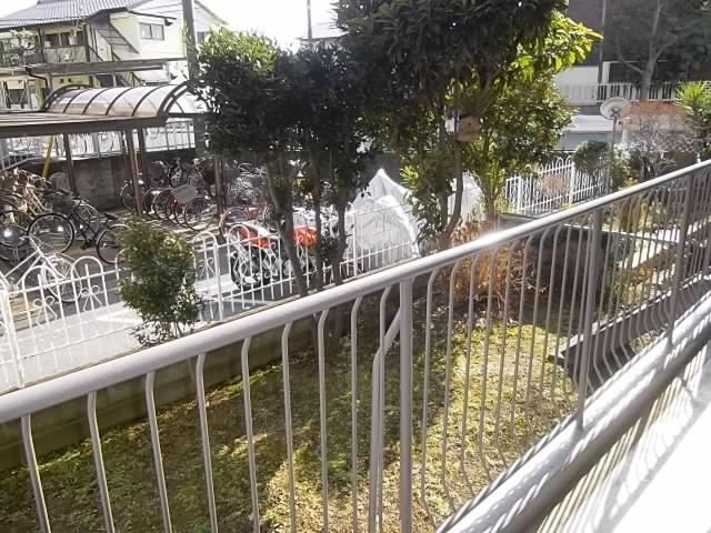 Garden. Private garden