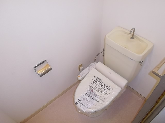 Toilet. Warm water washing toilet seat