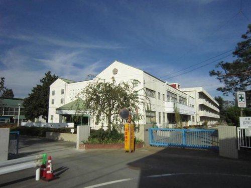 Primary school. Kasukabe Municipal Sakuragawa to elementary school 380m