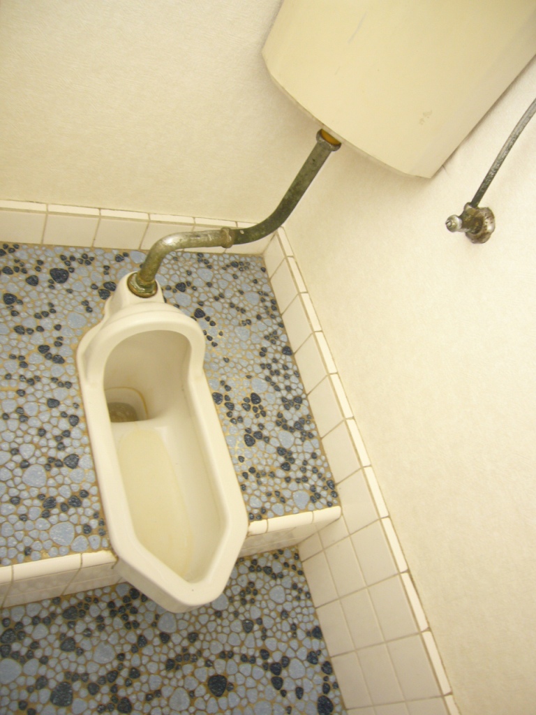 Toilet. Japanese-style toilet