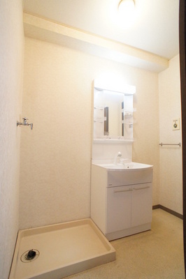 Washroom. Shampoo dresser new indoor washing Storage