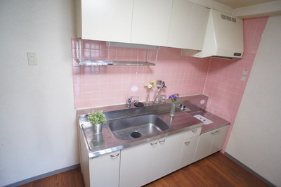 Kitchen. Gas stove installed Friendly Kitchen single lever