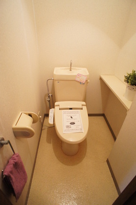 Toilet. Hot water shower toilet seat newly established