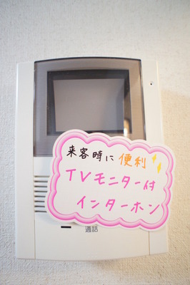 Security. TV intercom face of visitors can be seen