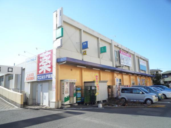 Drug store. Until the drugstore 180m Werushia