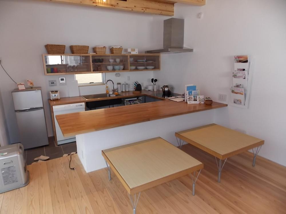 Other introspection. Local (January 2013) Shooting