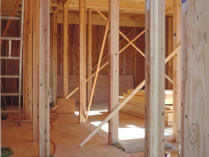 Other introspection. Local (12 May 2013) Shooting