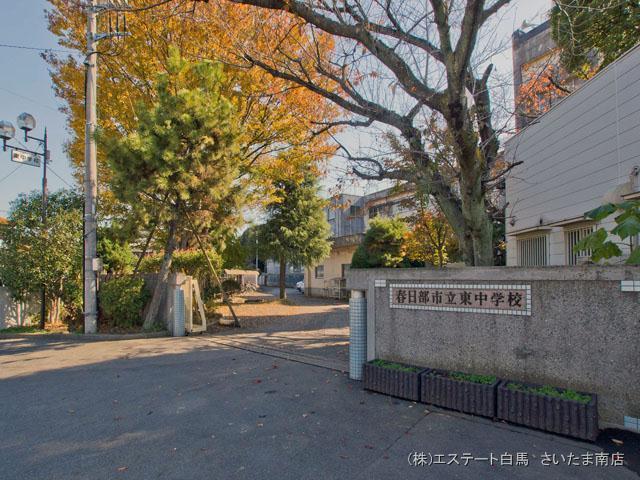 Junior high school. Kasukabe Tatsuhigashi until junior high school 487m