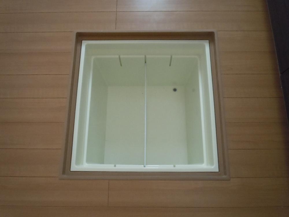 Other. Underfloor Storage