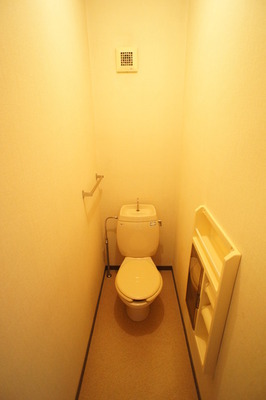 Toilet. Yes Exhaust Fan!