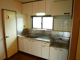 Kitchen. Gas stove installation type of kitchen