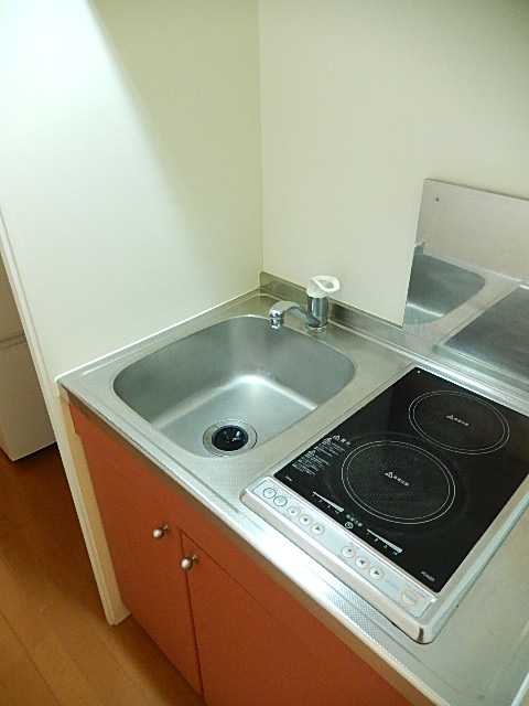 Kitchen. Two-burner electric stove type