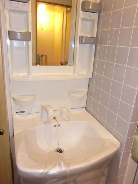 Washroom. Shampoo dresser