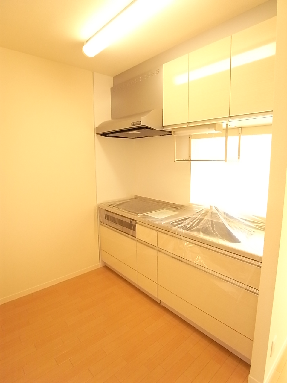 Kitchen. IH cooking heater