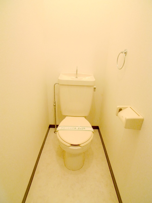 Toilet. Pre-cleaning