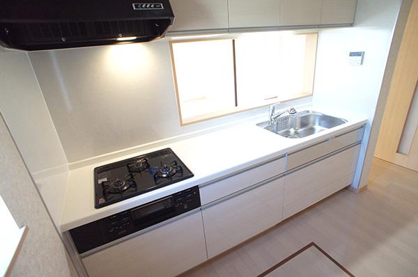 Kitchen. Open-minded face-to-face kitchen with state of living is understood well Indoor (11 May 2013) Shooting