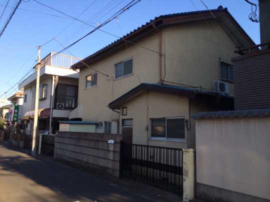 Local land photo. Appearance (1)