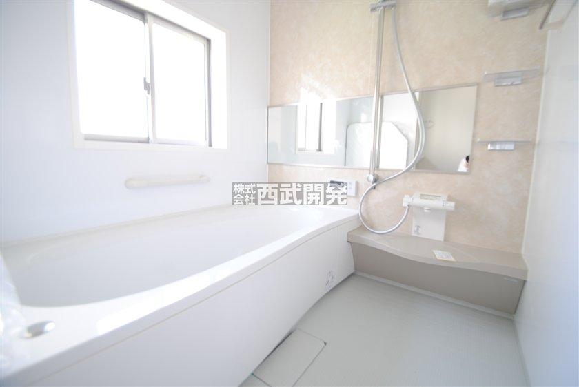 Bathroom. Indoor (10 May 2013) Shooting